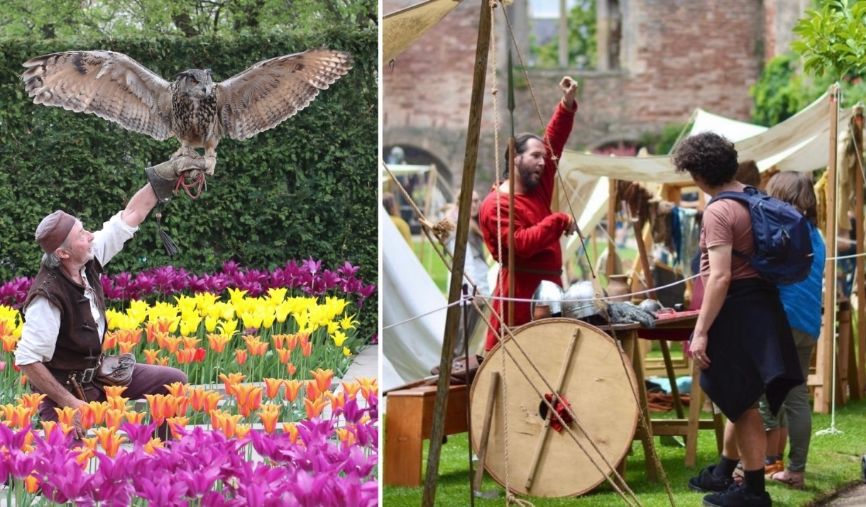 man catching a falcon on his arm