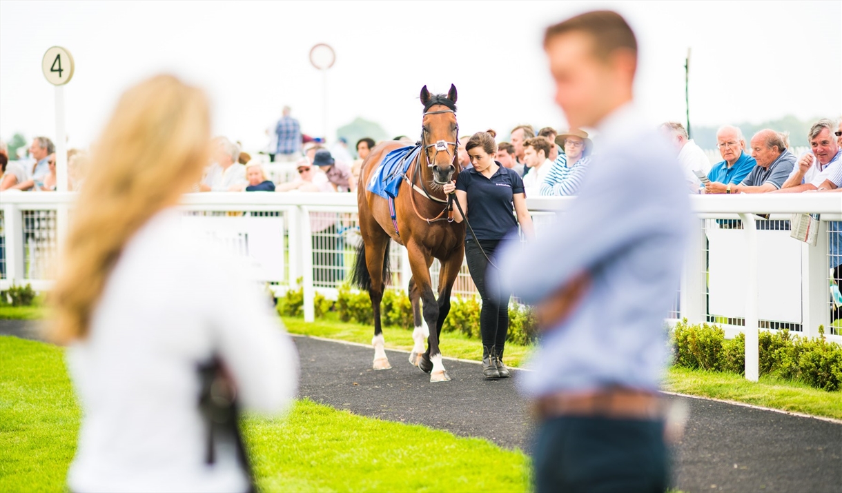 Bath Racecourse