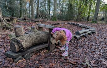 Copyright NT / Tabi Collins