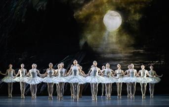 Swan Lake