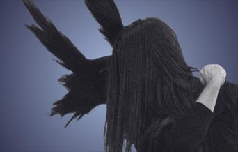 Silhouetted figure of a person with long dark hair covering their face, turned to the side, with some long dark feathers showing through behind their