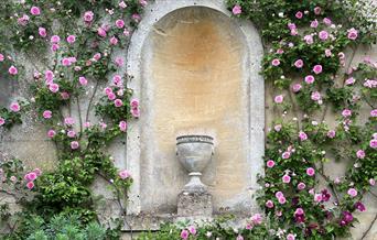 Roses in the South Gardens