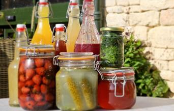 Fermentation Workshop