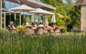 Walled Garden Terrace with people dining