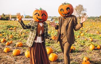 Pumpkin Patch at Avon Valley Adventure and Wildlife Park