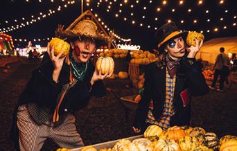 Pumpkin Patch Nights at Avon Valley Adventure and Wildlife  Park