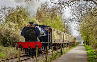 A photo of a blue steam train surrounded by trees on the railway path.