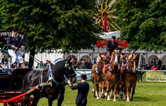 Royal Bath & West Show
