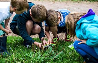 children crouching and looking for items on grass