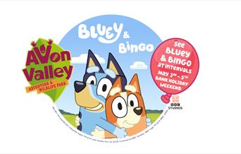 Promotional graphic for Avon Valley Adventure Park featuring Bluey and Bingo. The image announces a special event where visitors can see Bluey & Bingo
