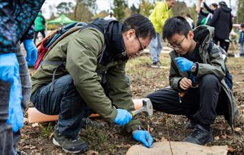 adult and child plant tree outside