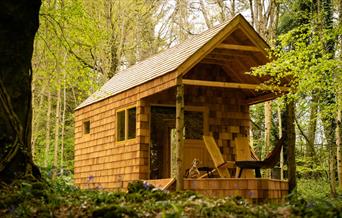 A cabin in the middle of woodland at Campwell Farm near Bath