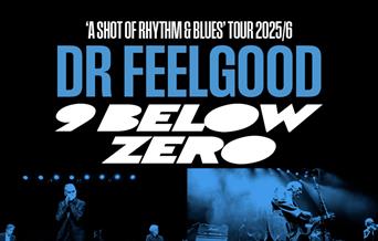 Blue tinged poster of Dr Feelgood