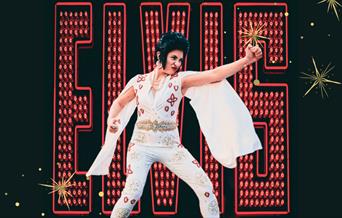 Elvis Lesley's Jingle Bell Bingo Bash poster