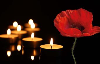 Photo of a poppy and candles on black background