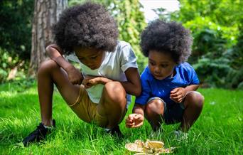 two children crouch down to look at brown fungi growing on green grass