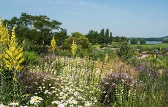 Yeo Valley Organic Garden