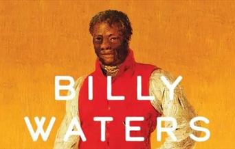 Image of the title of Mary L Shannon's book