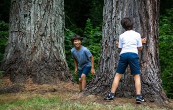 two boys playing outside peeping around a tree  trunk