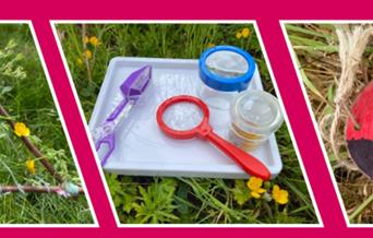 Children's Summer Activities at Beckford's Tower

