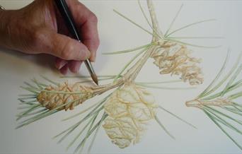 hand drawing a painting of a tree leaf