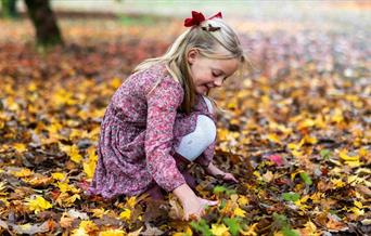 young child reaching down to pick up autumn leaves