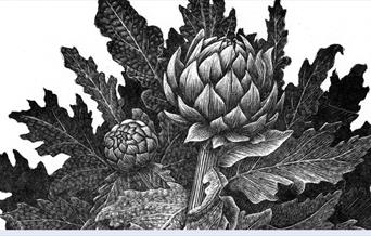 Geri Waddington – Against the Grain
