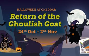 Halloween at Cheddar