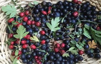 berries in a basket