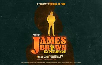 James Brown Experience
