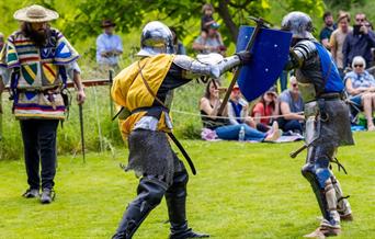 people dressed as knights fighting