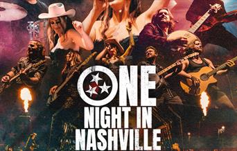 One Night In Nashville poster