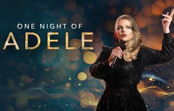 A photo of Naomi Johnson dressed in an Adele inspired dress