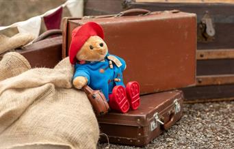Paddington toy