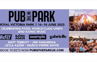 Pub in the Park 2023 poster