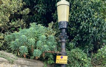 Public Space For All