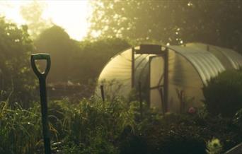 a garden shovel in the foreground and a greenhouse in the background