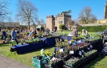 Rare Plant Fair 2024