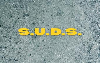 a close up photograph of soap suds with yellow text that reads "S.U.D.S."