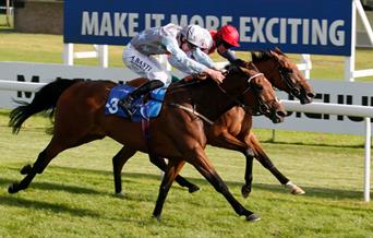 Season Finale at Bath Racecourse
