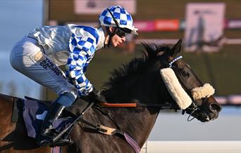 Bath Racecourse