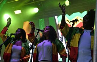Rum & Reggae Night at Bath Racecourse
