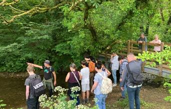 people in a woods walking together