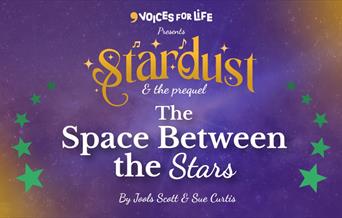 Stardust & The Space Between the Stars