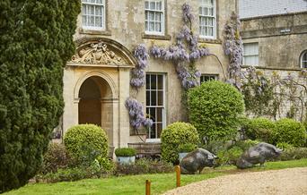 The PIG near Bath, Somerset