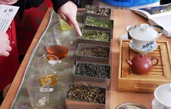 Tea tasting at the Museum of East Asian Art