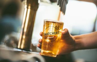 Thatchers Cider