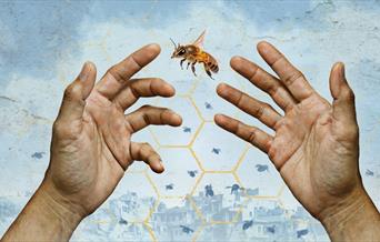 Two hands reach toward a bee in mid-air.