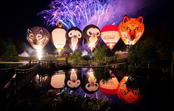 Hot air balloons