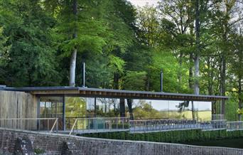 Glass cafe in forest
